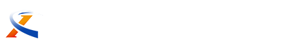 大小单双正规平台